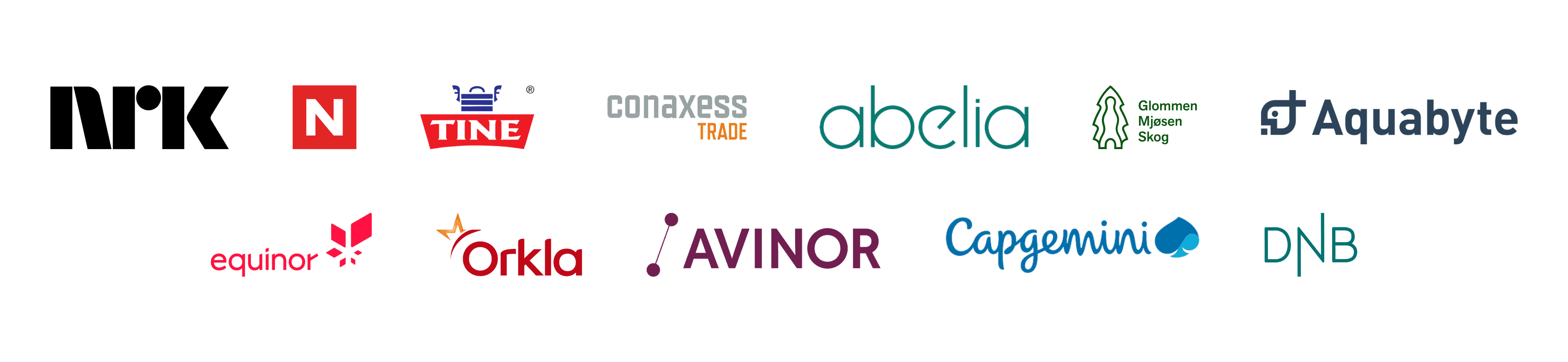 Kunder: NRK, Nettavisen, Tine, Conaxess Trade, Abelia, Glommen Mjøsen Skog, Aquabyte, Equinor, Orkla, Avinor, Capgemini og DNB