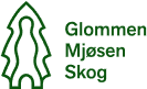 Glommen Mjøsen Skog